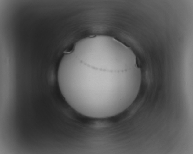 X0000100770508200807031213