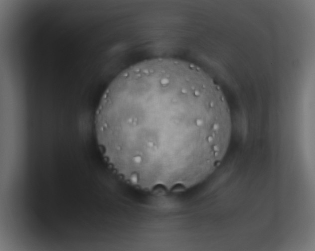 X0000100770511200807031213