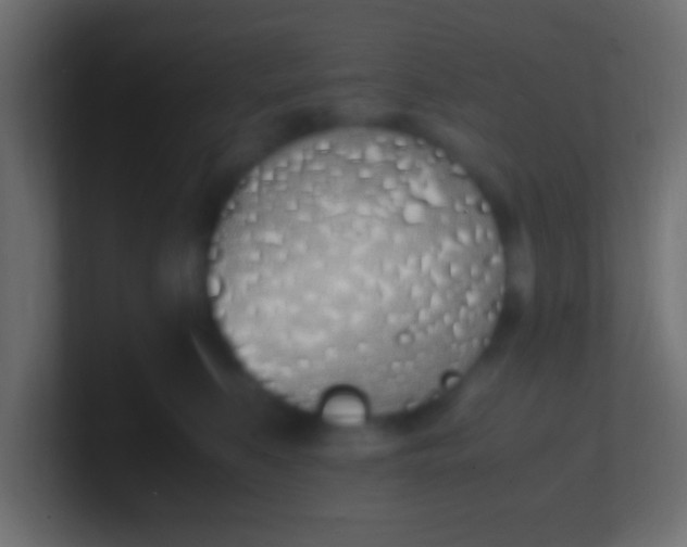 X0000100770519200807031213