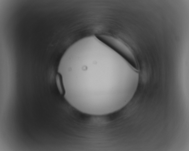 X0000100770520200807031213