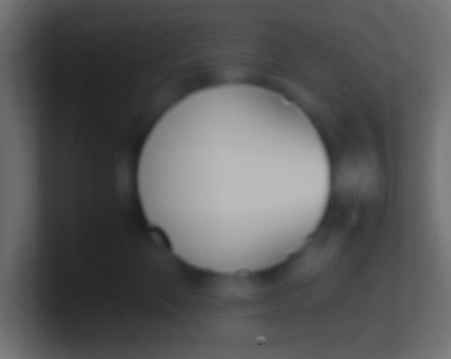 X0000100770524200807031213