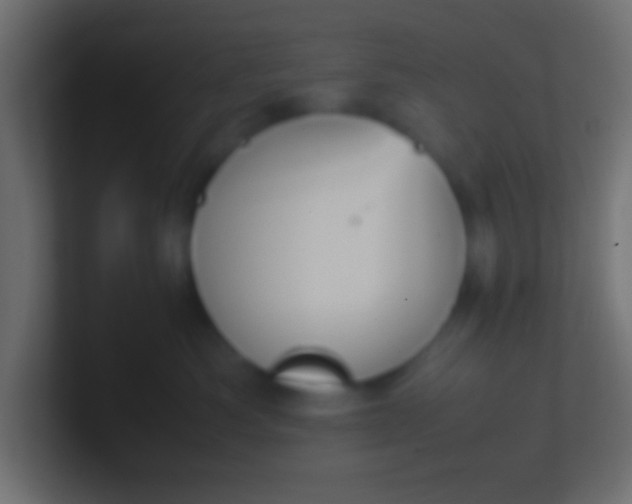 X0000100770525200807031213