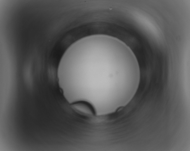 X0000100770526200807031213