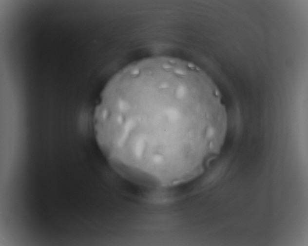 X0000100770527200807031213