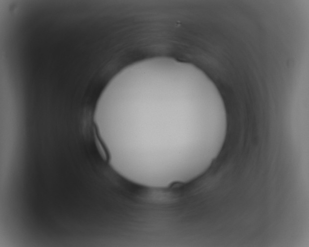 X0000100770528200807031213