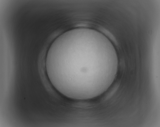 X0000100770529200807031212