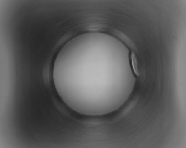X0000100770530200807031212