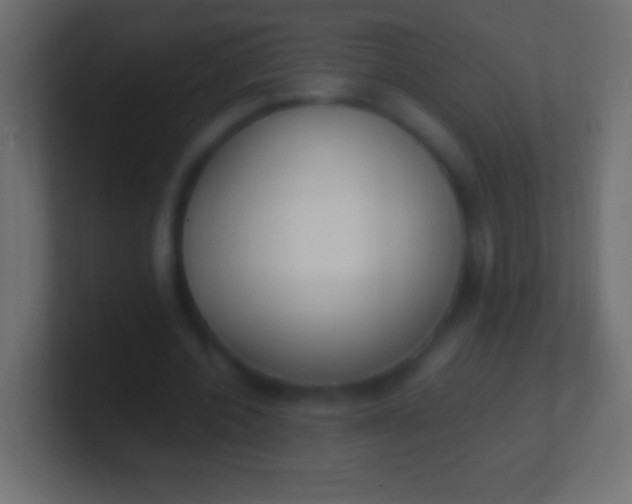 X0000100770532200807031212