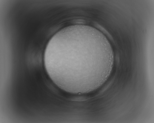X0000100770533200807031212