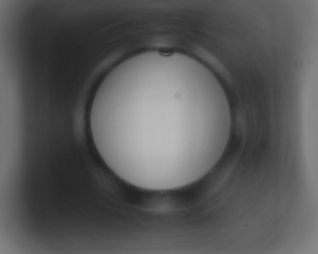 X0000100770535200807031212