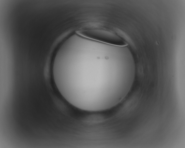X0000100770536200807031212