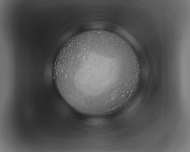 X0000100770537200807031212