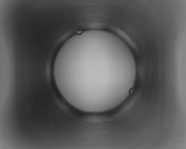 X0000100770538200807031212