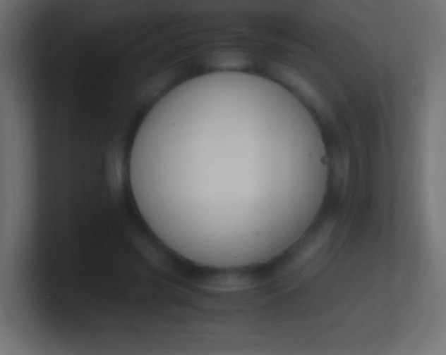 X0000100770541200807031212