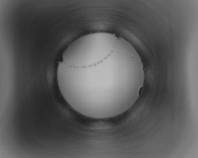 X0000100770544200807031212