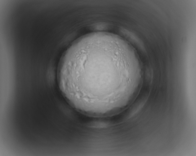 X0000100770545200807031212