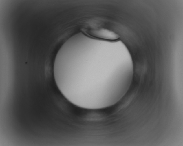 X0000100770547200807031212