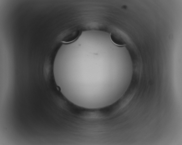 X0000100770548200807031212
