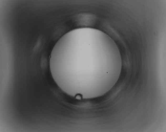 X0000100770551200807031212