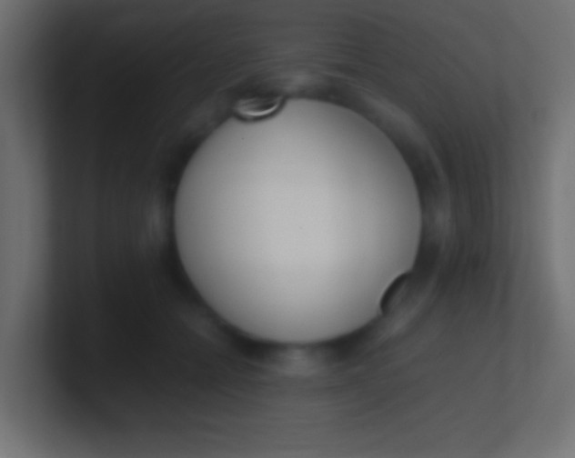 X0000100770558200807031212