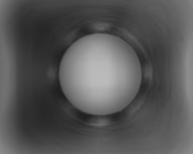 X0000100770559200807031212