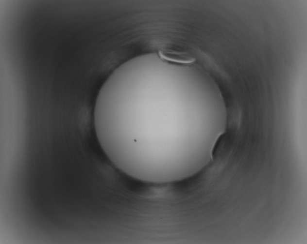 X0000100770560200807031212