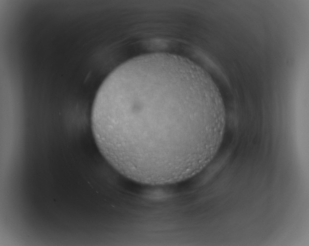 X0000100770561200807031212