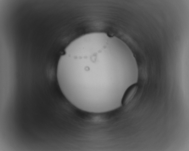 X0000100770564200807031212