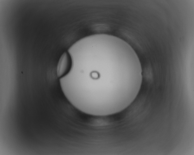 X0000100770567200807031212