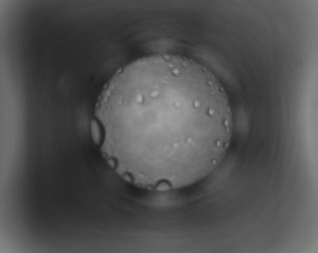 X0000100770569200807031213