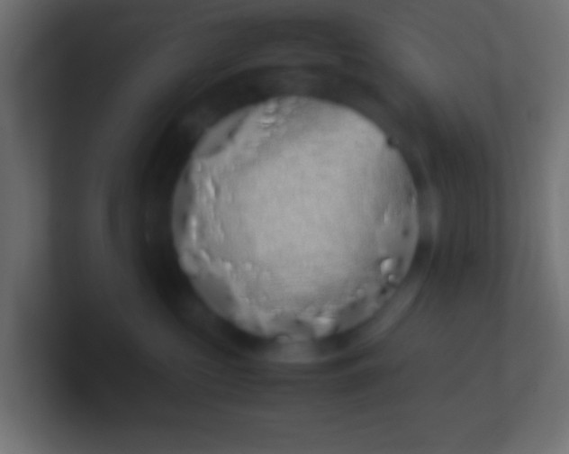 X0000100770573200807031213