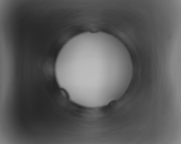 X0000100770576200807031213