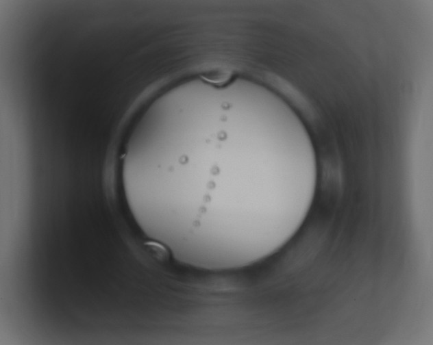X0000100770580200807031212
