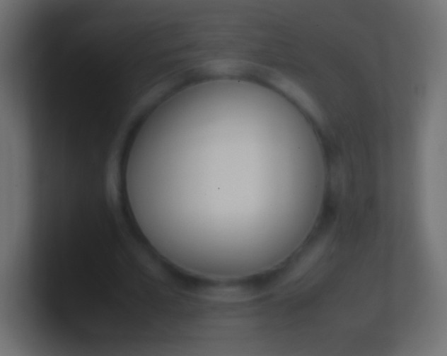 X0000100770581200807031212