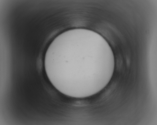 X0000100770584200807031212
