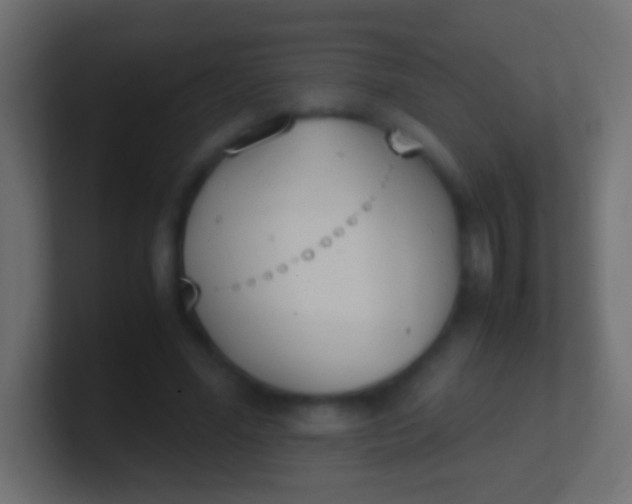 X0000100770588200807031212
