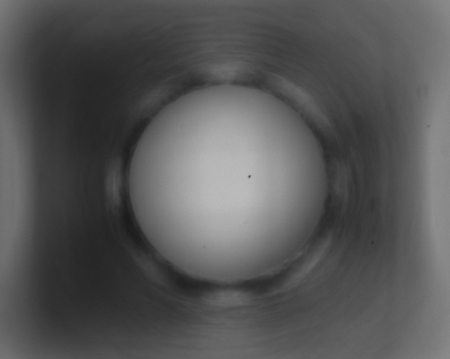 X0000100770590200807031212