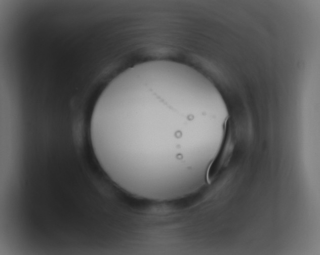 X0000100770591200807031212