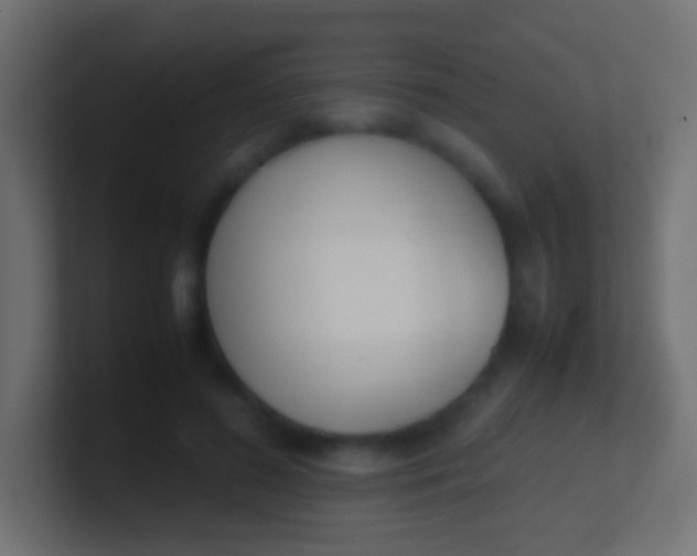 X0000100770596200807031212