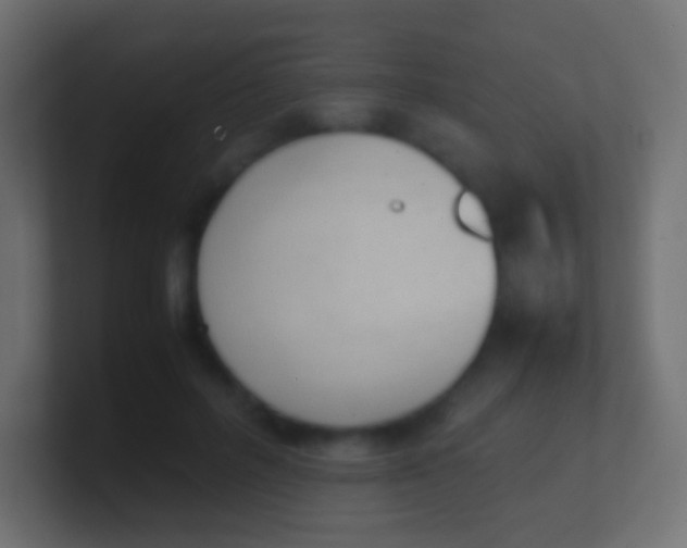 X0000100770600200807031212