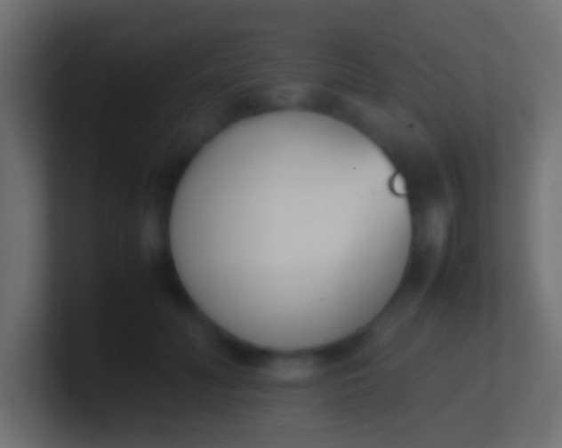 X0000100770606200807031212