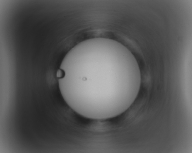 X0000100770607200807031212