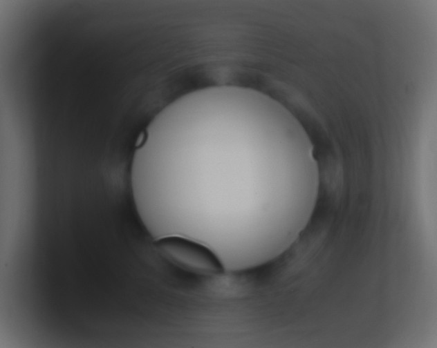 X0000100770611200807031211