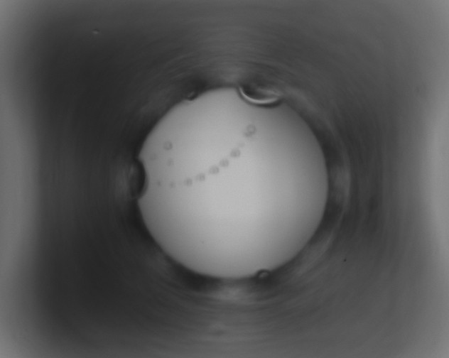 X0000100770612200807031211