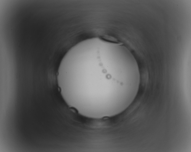 X0000100770613200807031211