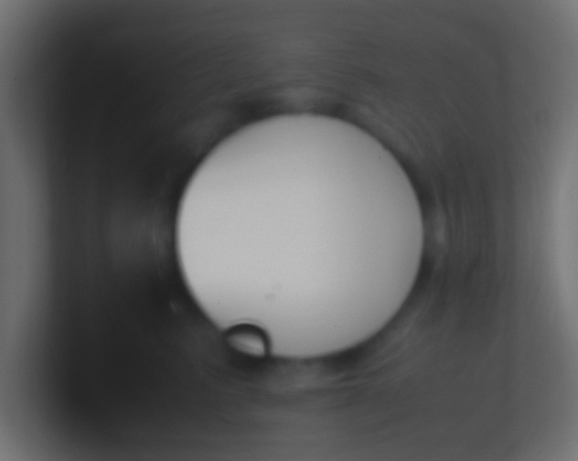 X0000100770615200807031211