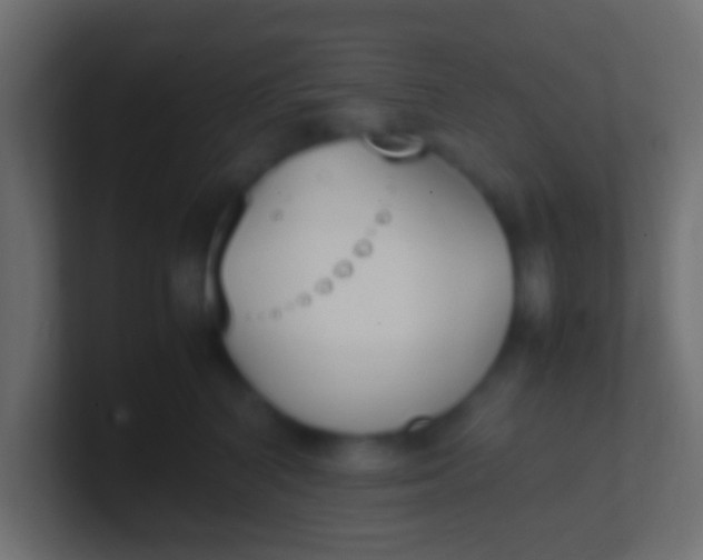 X0000100770616200807031211