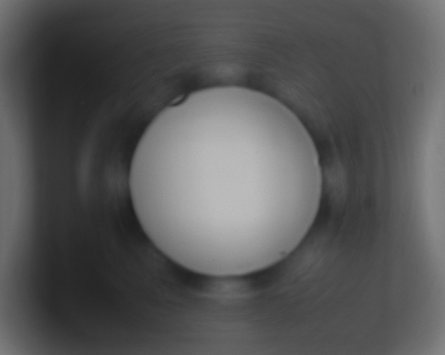 X0000100770617200807031211