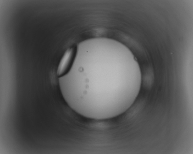 X0000100770620200807031211