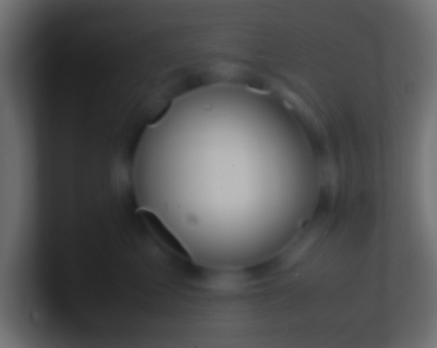 X0000100770621200807031211